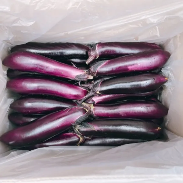 국내산 가지 특품 가정용 못난이 2.5kg 5kg