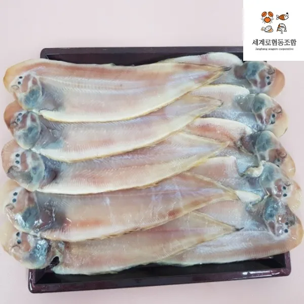 기쁨수산 서천 군산 반건조박대 세계로협동조합 10매입 Size 대 29~32cm