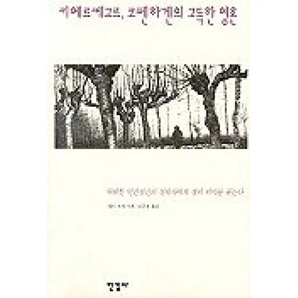 키에르케고르 코펜하겐의 고독한 영혼, 한길사