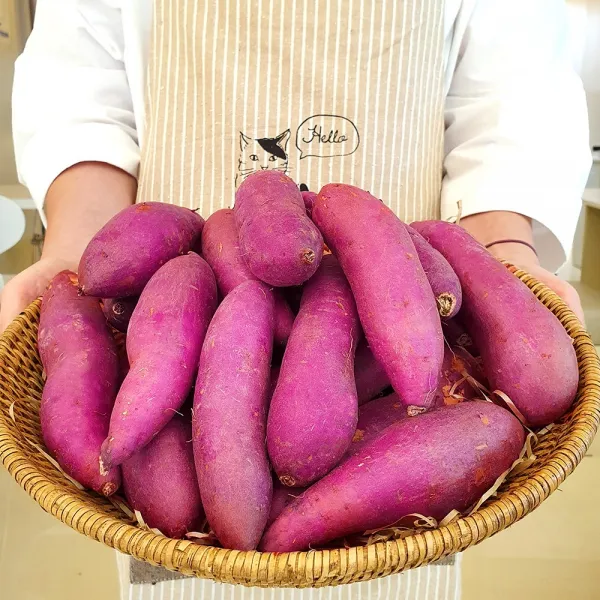 24시 내고향 2020년 햇 고구마 2kg 3kg 5kg 10kg 밤고구마 호박고구마 꿀고구마, 꿀밤고구마, 한입사이즈