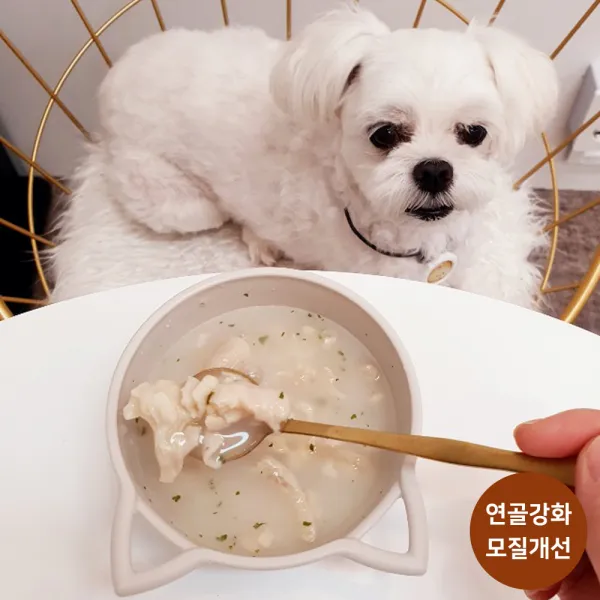 (정견식) 강아지 수제 간식 영양식 닭발곰탕 150g