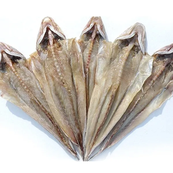 나로도 건양태(장대)3~5미(1.3kg내외/45cm내외), 단품