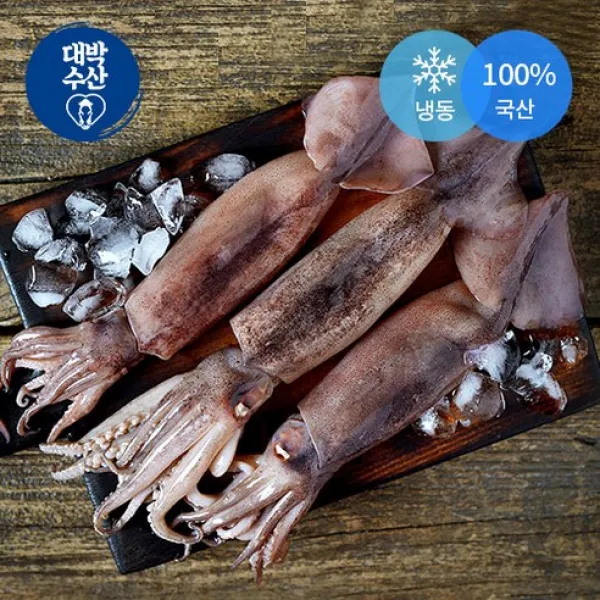 선동오징어 손질오징어 오징어 냉동오징어, 선동오징어 1kg