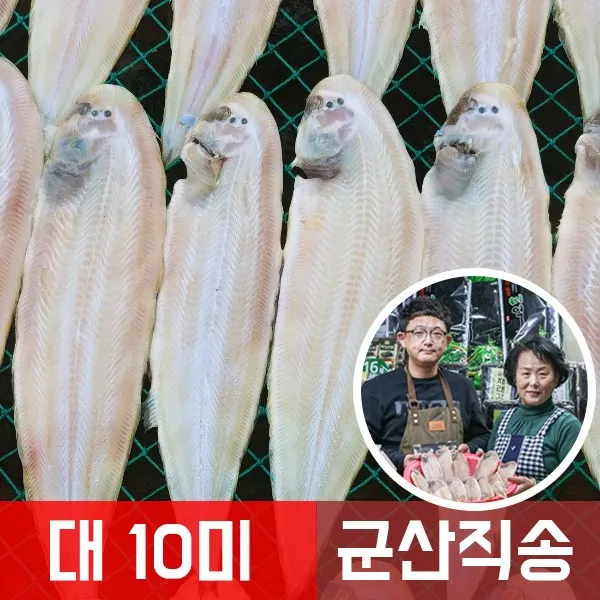 맛나젓갈건어물 군산 반건조 박대 서대 10미 대 사이즈 박대구이, 10개