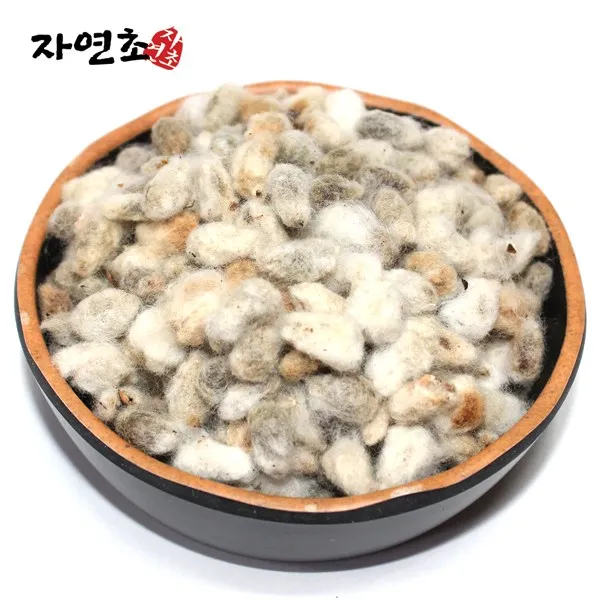 자연초 목화씨 면화자 300g, 1개