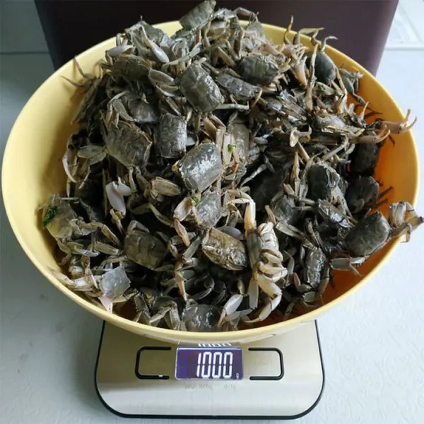해남산 갯벌 생물칠게 화랑게 찔룩게 칡게 산지직송으로 살려서 배송 2kg, 생물칠게 2kg