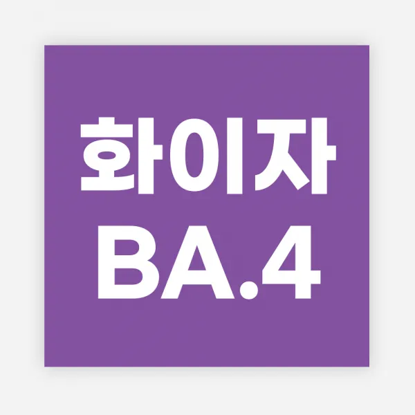 백신 스티커 모더나 2가 화이자 BA1 예방접종 독감, 정사각40_1000매, 02화이자BA4