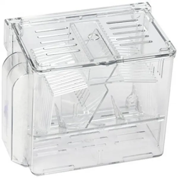 TOM Aquarium Baby Nursery 톰 수족관 아기 보육원, 1