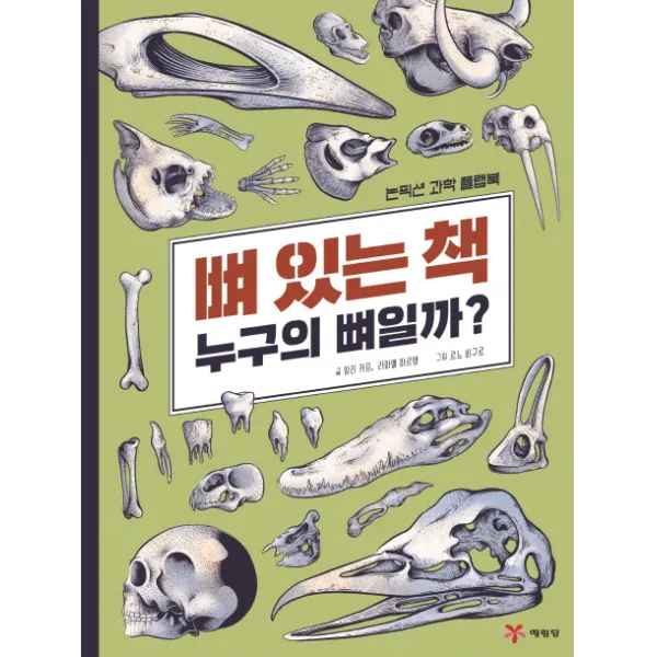 뼈 있는 책: 누구의 뼈일까?:논픽션 과학 플랩북, 예림당