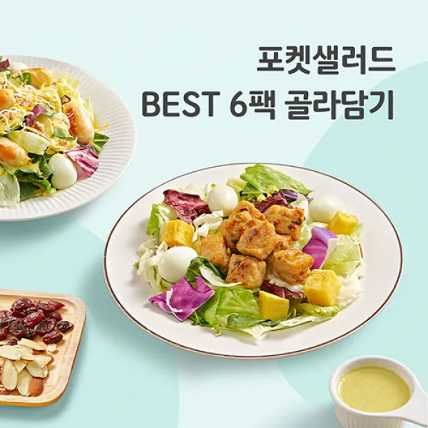 포켓샐러드 BEST 6팩 진공포장 샐러드 배달 도시락, 20.불고기2+숯불갈비2+훈제오리2