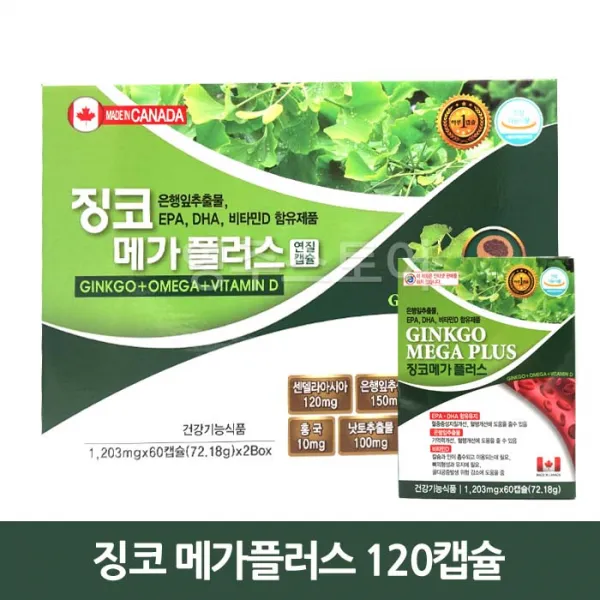 징코 메가플러스 120캡슐 (기억력 감퇴)
