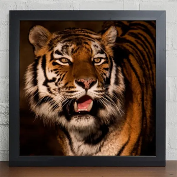 아트박스/꾸밈 Cv313 액운을막는호랑이_인테리어액자
