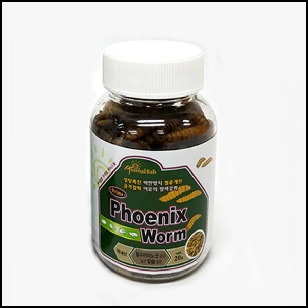 Ot Plov 피닉스웜 20g 칼슘 애완용품 10개 동애등애 영양간식 애완거북이 Owtd 1