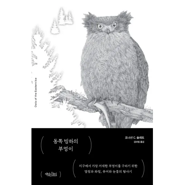 동쪽 빙하의 부엉이, 책읽는수요일, 조너선 C. 슬래트