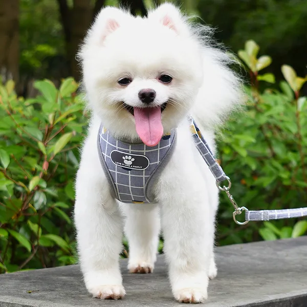 강아지용품 강아지 애견목줄 조끼스타일 소형견 포메라니안 리드줄 푸들 애완동물 개줄 여름 용품 T02 공형 그레이 체크무늬 1.2베이지 편승 C04 L10 14
