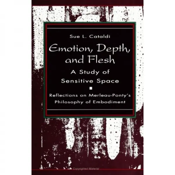 감성 깊이 그리고 육감: 감성적인 공간에 대한 연구: 메를로 퐁티의 체현 철학에 대한 고찰 단일옵션