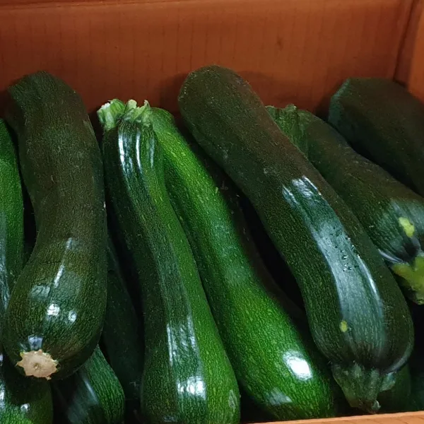 백산상회 쥬키니호박, 1박스, 10kg(상)