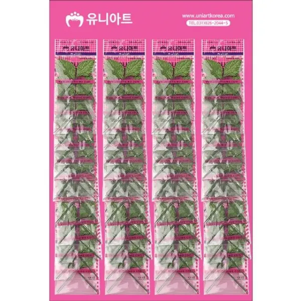 UW3DFF5BT 꾸미기교육 모음 꾸미기재료 대량 판 500 나뭇 x50개 잎