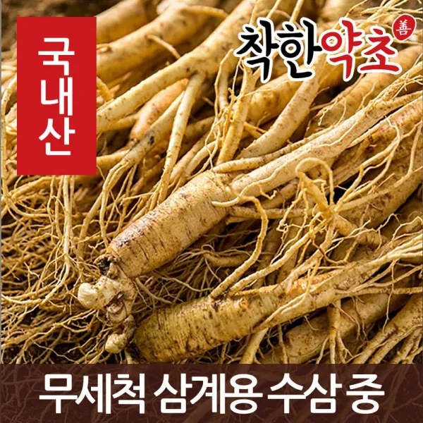 착한약초 금산 인삼 50종 수삼 삼계용 인삼주키트 선물세트, 1개, 1I91_금산 인삼 무세척 삼계용 수삼 중 750g