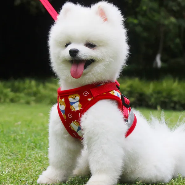 강아지용품 강아지 애견목줄 조끼스타일 소형견 포메라니안 리드줄 푸들 애완동물 개줄 여름 용품 T19 사각형 레드색 강아지 패턴 1.5베이지 편승 C01 Xs3키로이내