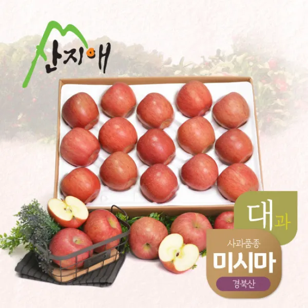 [산지애] 알뜰 못난이사과 5kg (대과), 단품