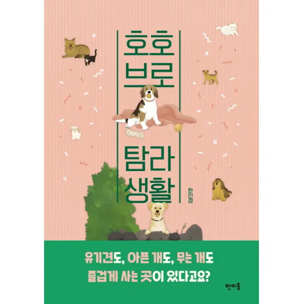 호호브로 탐라생활, 판미동