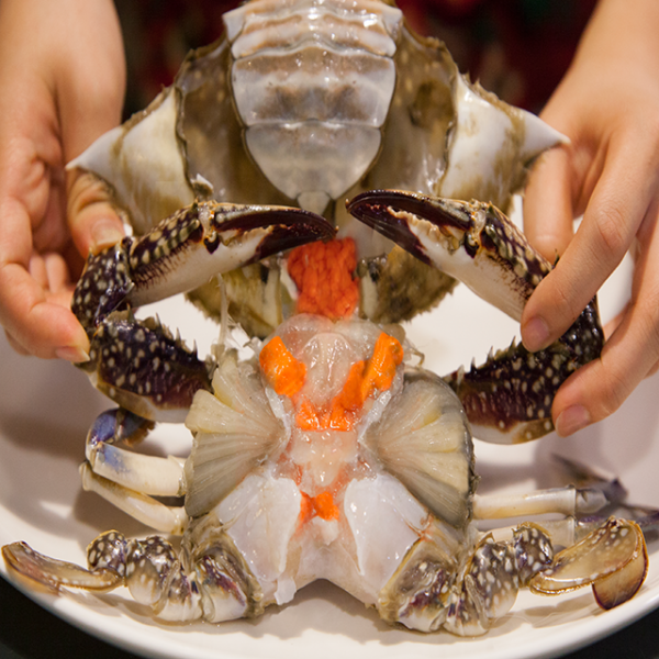 맛수러움 2020 안면도 봄 생물 암꽃게 냉동 꽃게 1kg, 1개, 20년 봄생물암꽃게(3미내외) 1kg