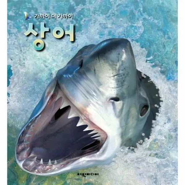 상어(가까이더가까이), 상세페이지 참조, 상세페이지 참조, 상세페이지 참조