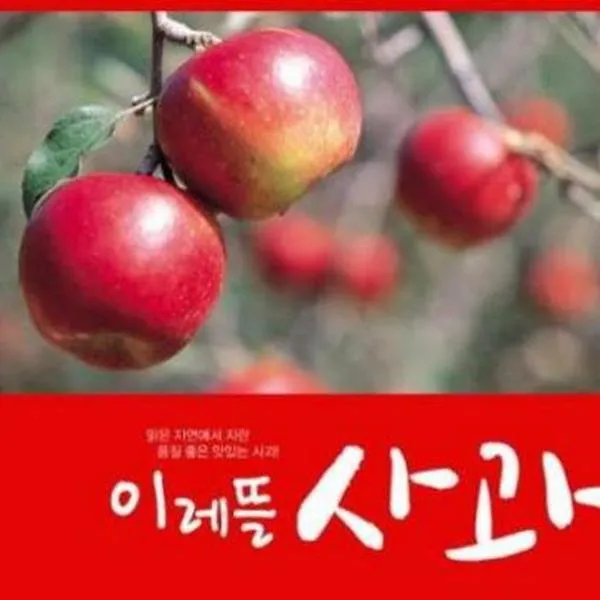 이래뜰 [이레뜰] 경북 이레뜰 세척사과(부사) 3kg*3박스 / 9kg, 1