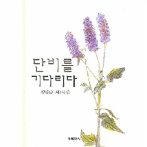 이노플리아 단비를 기다리다 139 미래시선, One color | One Size@1