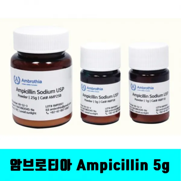 [클릭해바] Ampicillin sodium usp grade 암브로티아 AMP5B 5G 항생제 암피실린 파우더 미생물 실험 과학 감수성 내성 antibiotics 시약, AMP5B 5G+스티커