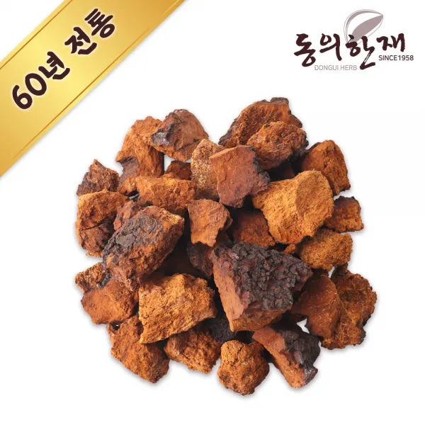 동의한재 차가버섯 특품 러시아산 500g 시베리아 차가버섯 단품