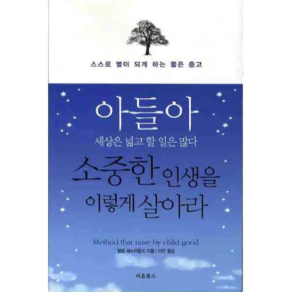 아들아 세상은 넓고 할 일은 많다 소중한 인생을 이렇게 살아라, 새론북스