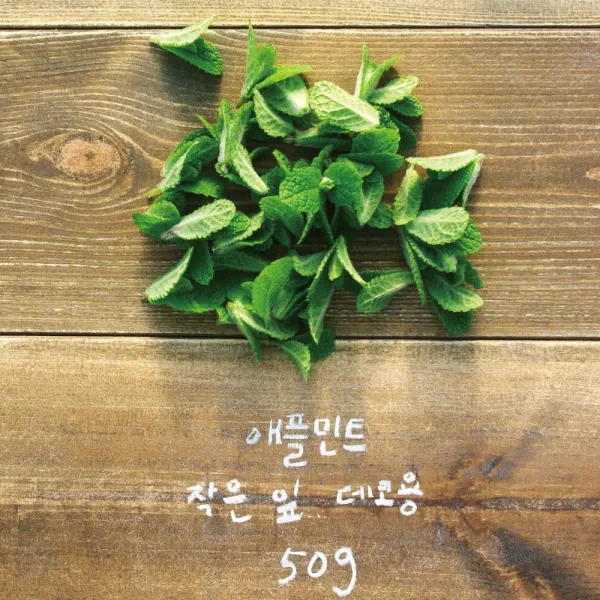 유기농 애플민트 생잎 작은 잎 50g/데코용, 1봉