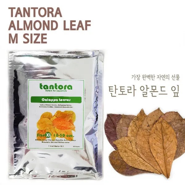 미소아쿠아 탄토라 알몬드 잎 M, 개
