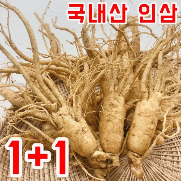  1+1 금산 인삼 바른인삼 6년근 5년근 난발삼 수삼 세척인삼 300g 원플러스원 난발삼 6~8뿌리 세척안함