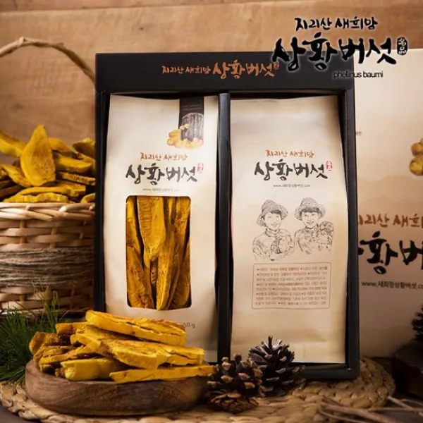 지리산 새희망 상황버섯 무농약지리산상황버섯슬라이스선물용100g특품, 없음, 상세설명 참조