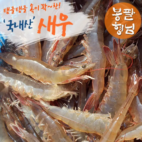 [봉팔형님] 국내산 생새우1kg, 1개, (35~45미 내외)
