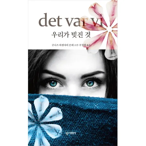 우리가 빚진 것(det var vi):골나즈 하셈자데 본데 소설, 대원사