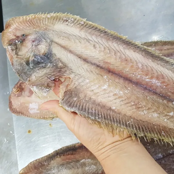 [싱싱해몰] 서대 3마리 박대 국내산 반건조 생선 40~45cm, 1개
