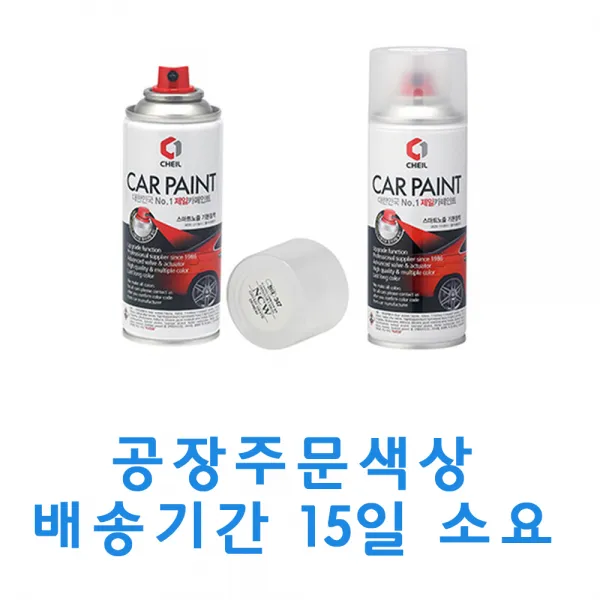 SM3 SGE 감회색 카페인트 스프레이 차량 도색용 보수, 1개