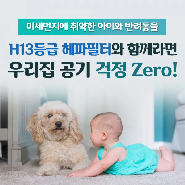 삼성 공기청정기 H13 국내산 필터 Ax40r3081wmd Cfx G100d 블루스카이 3000 6000 2.cfx G100d 고급형