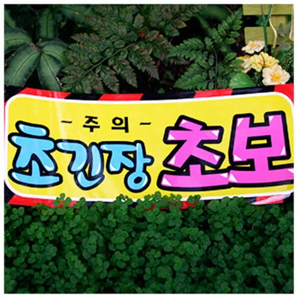 T몰 / 세모네모 0060 초긴장 초보 265X110mm 표지판, 단일 수량