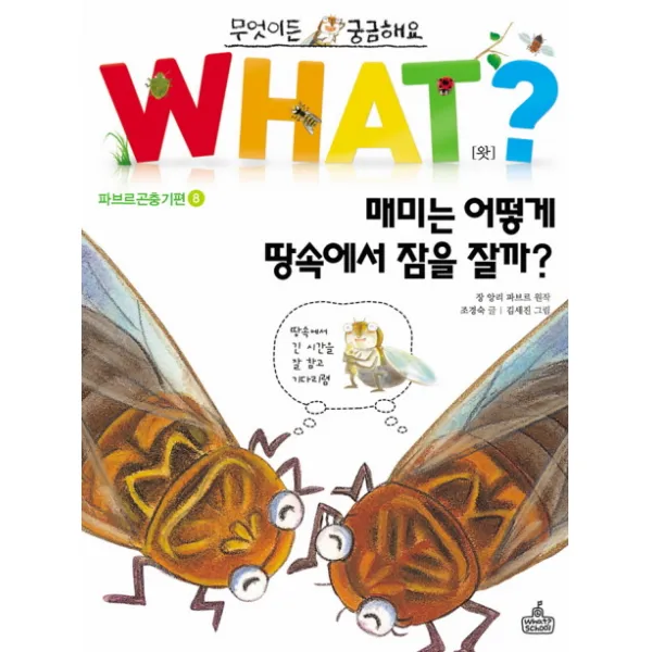 무엇이든 궁금해요 매미는 어떻게 땅속에서 잠을 잘까, WHAT SCHOOL