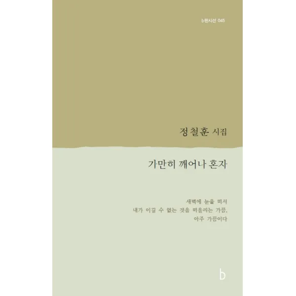 가만히 깨어나 혼자:정철훈 시집, 정철훈 저, b
