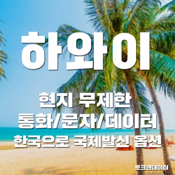 토크앤데이터 [하와이유심] 현지 통화 문자 데이터 무제한 한국으로 국제발신 옵션 인천공항 수령가능, 옵션2) 택배 + 7일, 1개