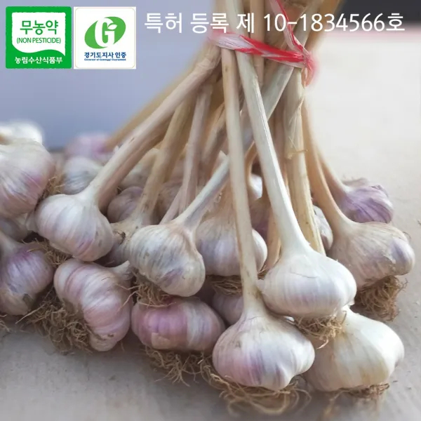 2022년 수확 특허받은 무농약 홍산마늘 5kg, 5kg