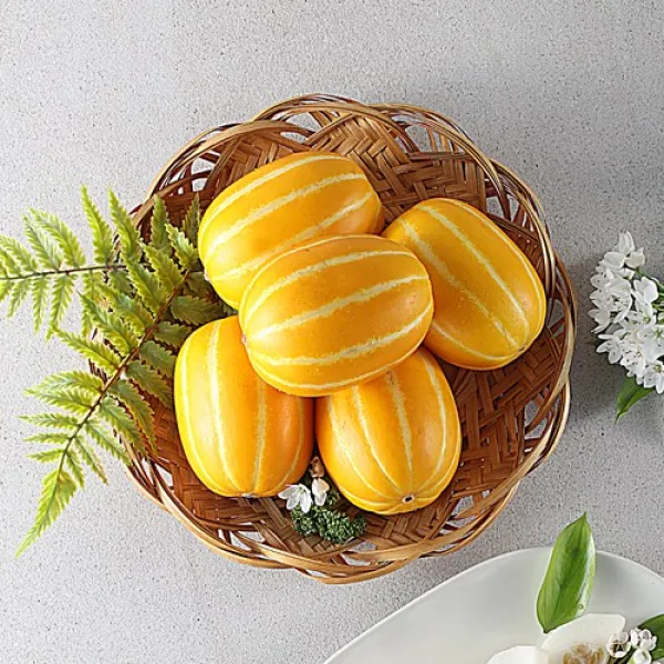 지안농산 당도보장 산지직송 알뜰 성주 꿀참외 실중량 10kg, 1box, 알뜰 꿀참외 10kg(랜덤과)
