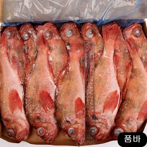 냉동 적어 7kg 500 열기 생선 장어구이 수산물, 1개