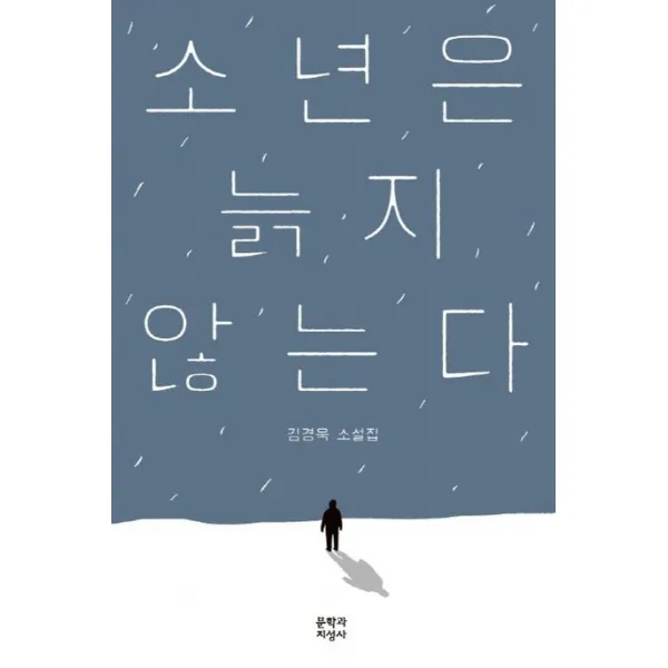 소년은 늙지 않는다:김경욱 소설집, 문학과지성사